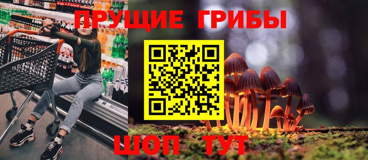 Псилоцибиновые грибы ЛСД  Вход с VPN  Галлюциногенные грибы ЛСД  Тара 
